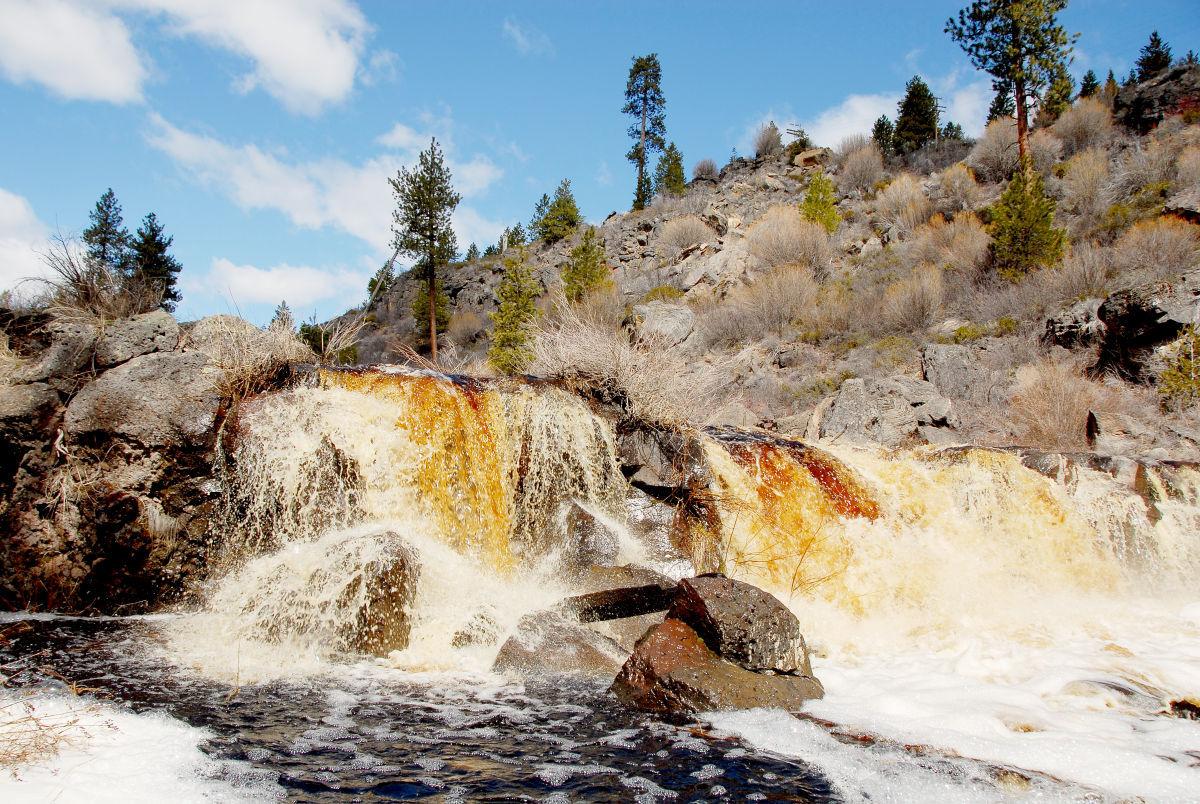 A taste of Root Beer Falls Local News