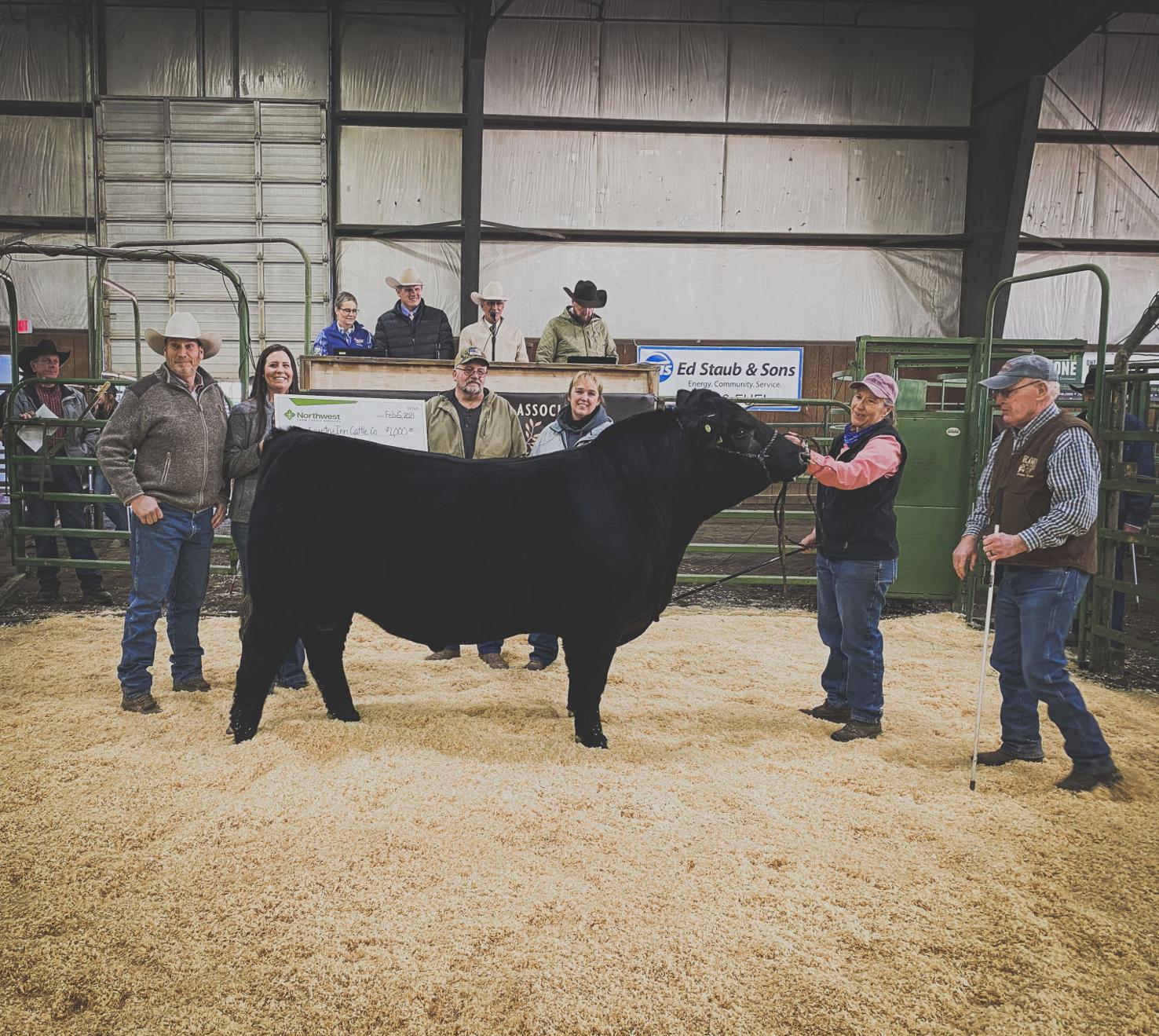 Annual Klamath Bull Sale returns in full force News