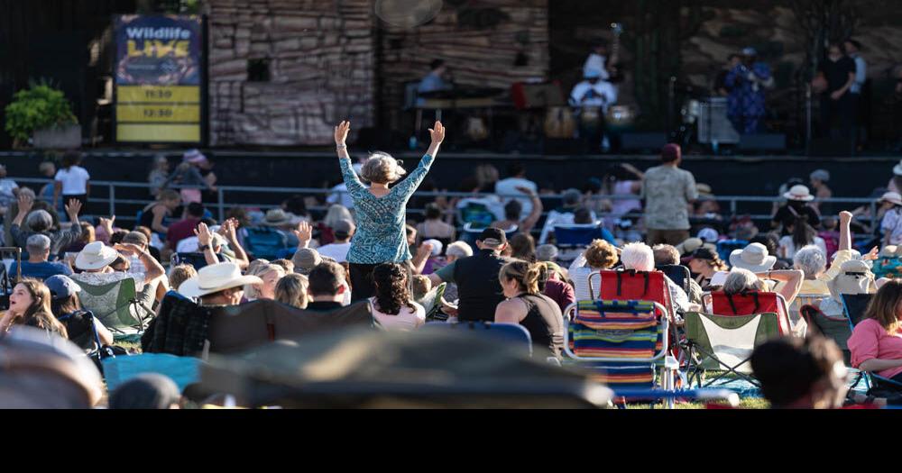 Summer &lsquo;Zoo Nights&rsquo; series will feature live local music, animal activities and more