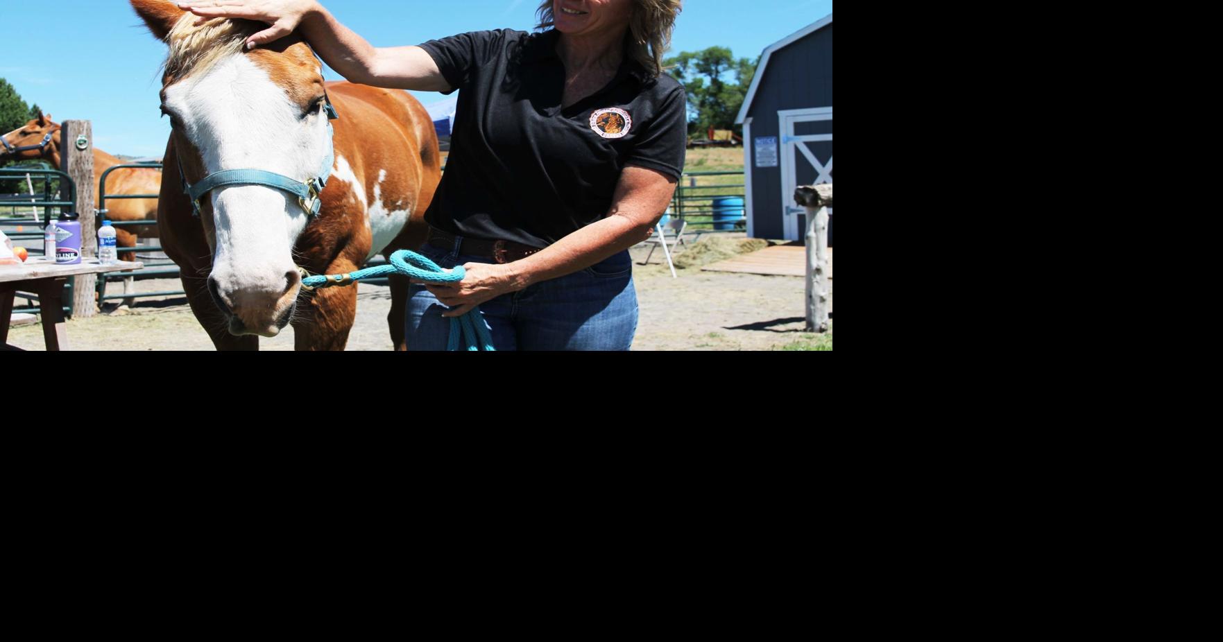 Solid Ground Equine-Assisted Activities & Therapy Center gets $20K ...