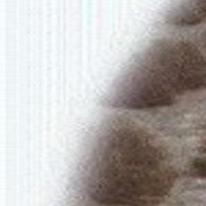 South texas vaqueros