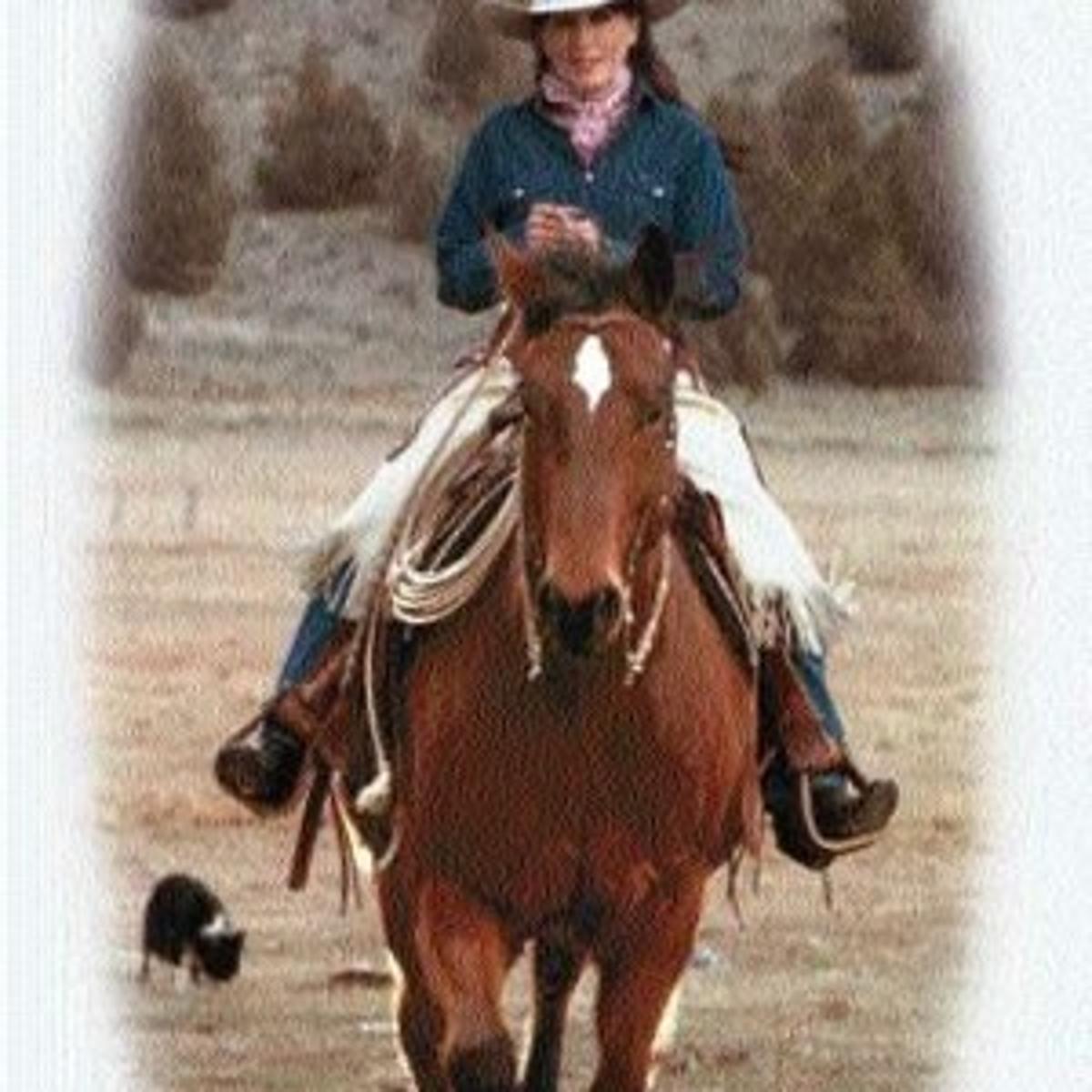 South texas vaqueros South texas vaqueros