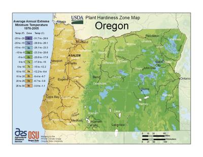 Five Insights Into Plant Cold Hardiness Local News Heraldandnews Com