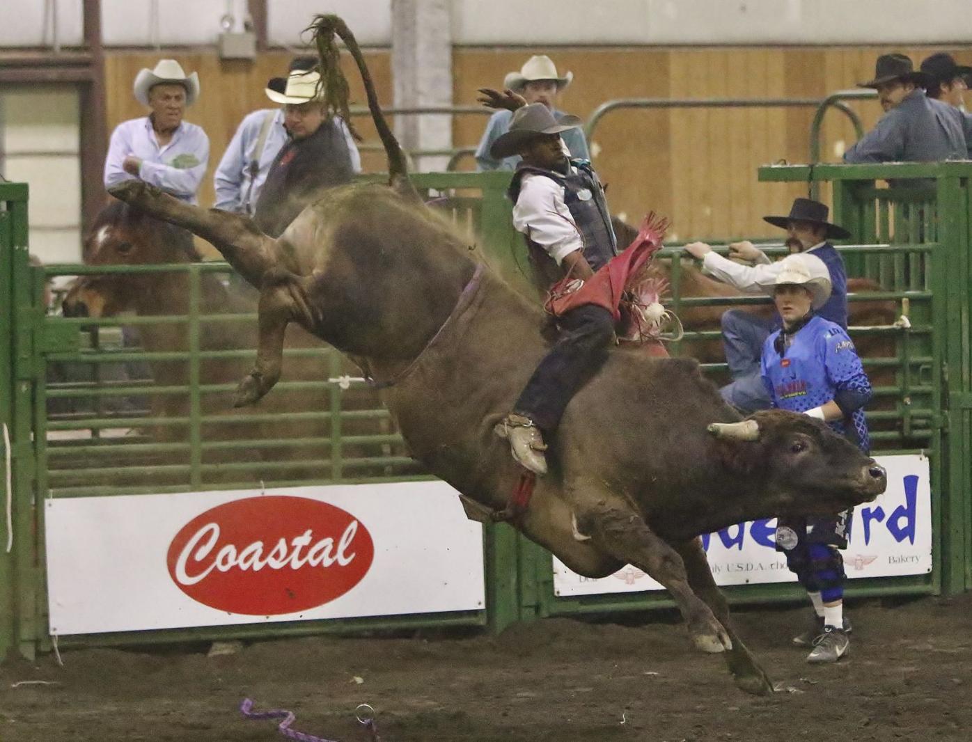 Bushwacker honored at Bullmania | Sports | heraldandnews.com
