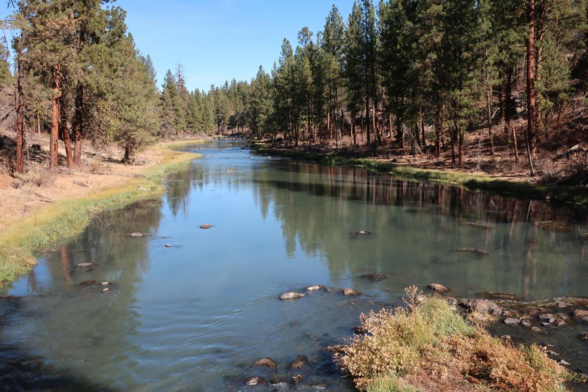Another dam good hike Trails around Gerber Reservoir Outdoors
