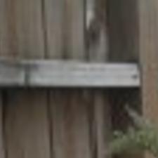 Time For A Little Experiment Viewpoints Heraldandnews Com