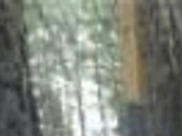 Mountain Men Descend On Cascades News Heraldandnews Com