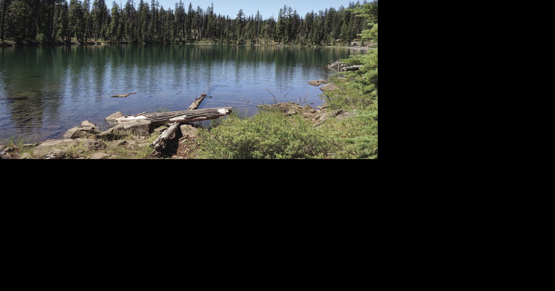 Beauty and the beastly: Hiking the Cold Springs Loop | Local News ...