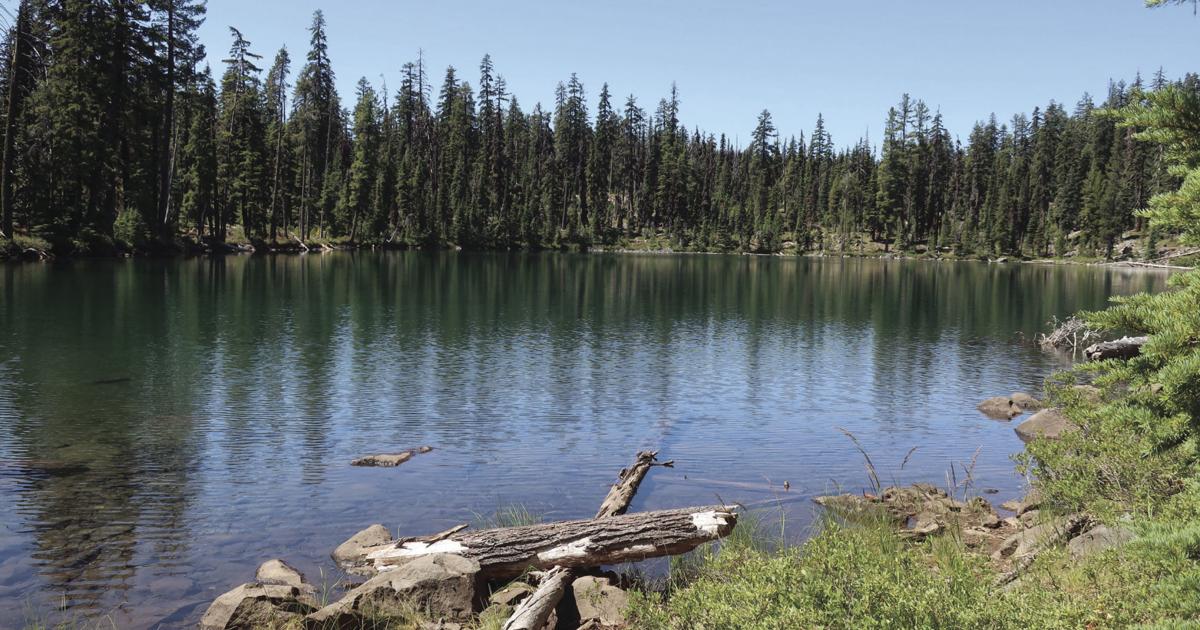 Cold Spring Loop Beauty and the beastly: Hiking the Cold Springs Loop | Local News ...
