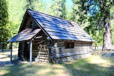 At Home In The Woods News Heraldandnews Com