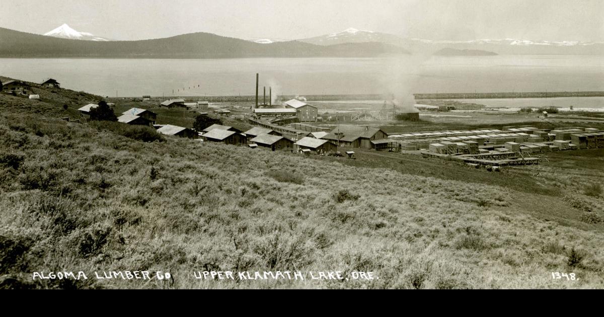 Klamath Post Card No. 50 — Algoma Mill view Breaking