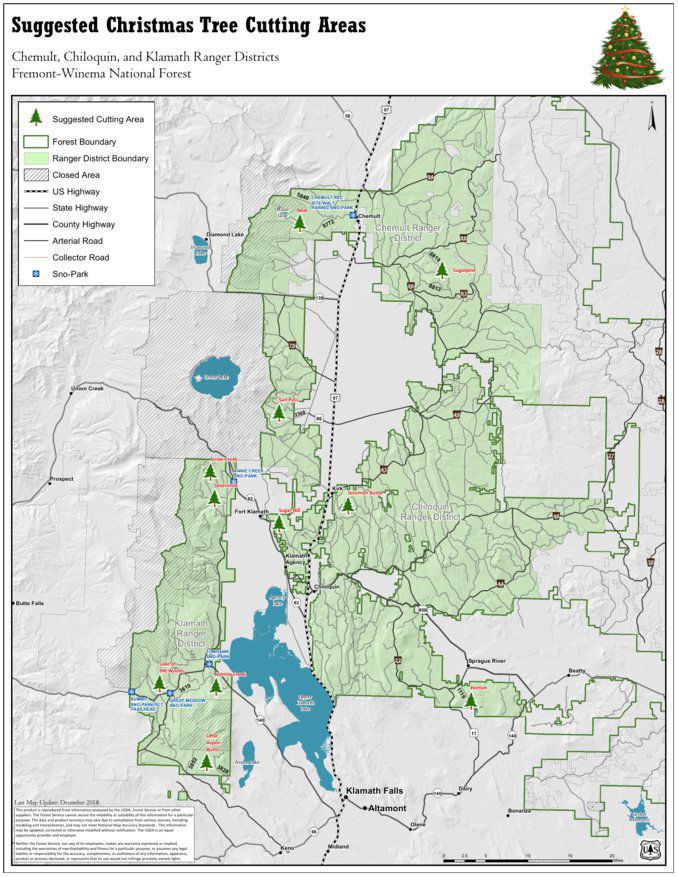 Klamath Falls Christmas Tree Permits 2022 What To Know Before Cutting Down A Christmas Tree In The Fremont-Winema  Forest | Local News | Heraldandnews.com