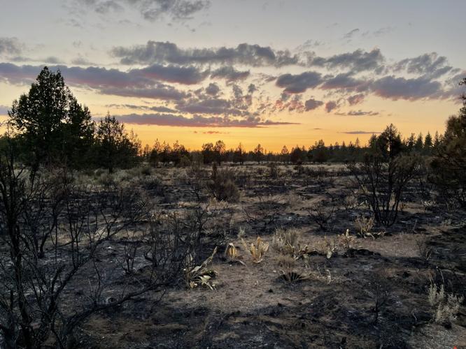 Golden Fire Firefighting efforts show progress, with 68 containment