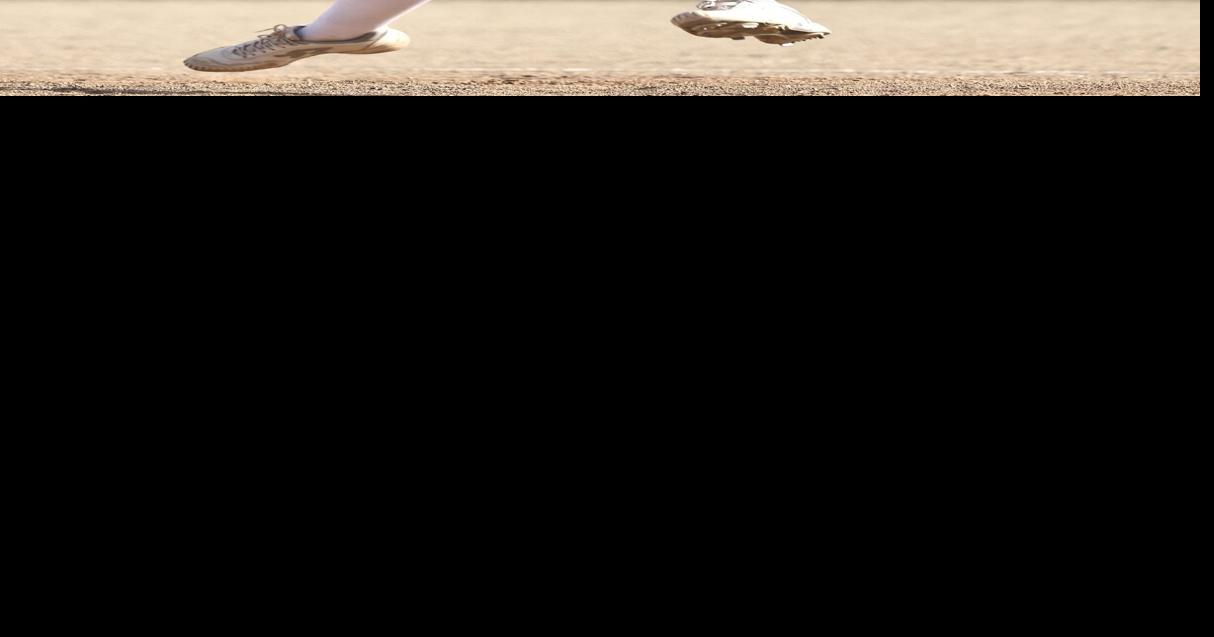 Lakeview softball: Honkers' season ends with loss to Valley Catholic in Class 3A state playoffs