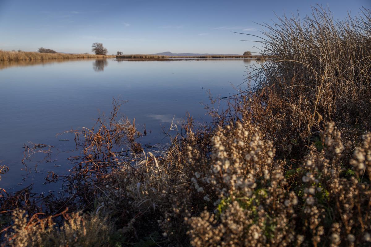 Lower Klamath National Wildlife Refuge