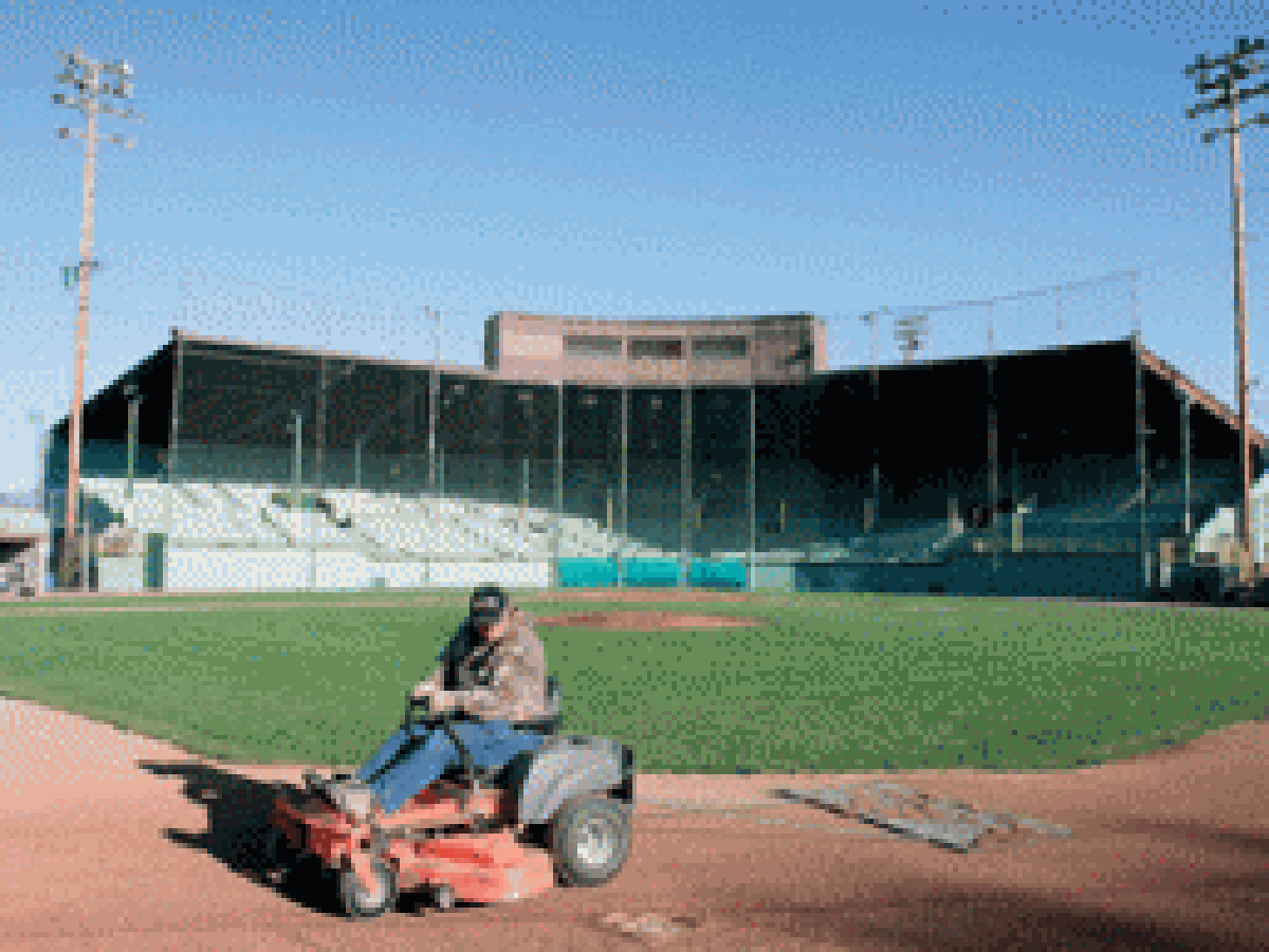 Field Of Green Top Story Heraldandnews Com