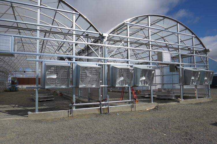 Growing jobs in Lakeview Local News