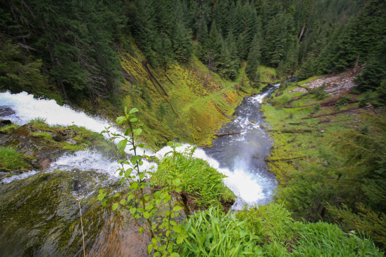 Klamath Life: Waterfall hikes | Gallery | heraldandnews.com