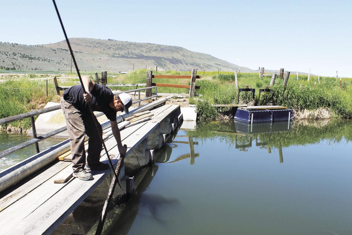 Court rules in favor of Klamath Irrigation District, state water rights