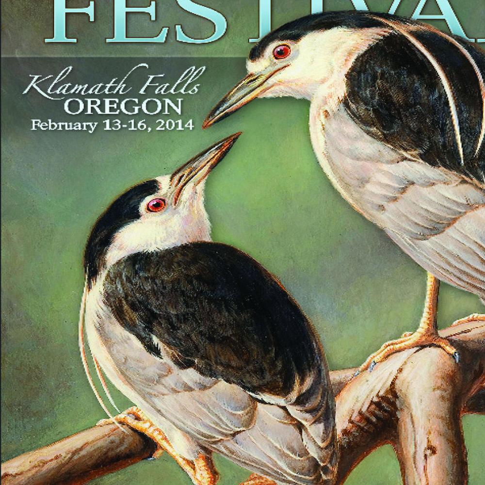 Registration Date Nears For Winter Wings Festival Environment