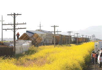 Train derails in La Grande; leak not hazardous | Oregon | heraldandnews.com