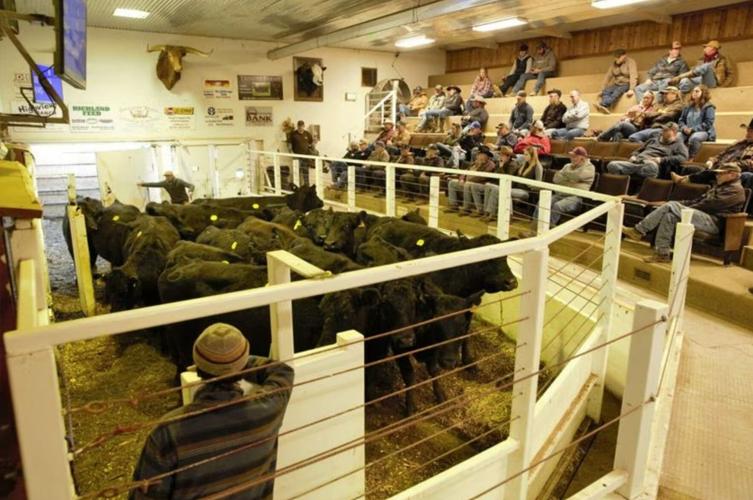 Oregon creates a new inspection program to boost state ag economy, keep