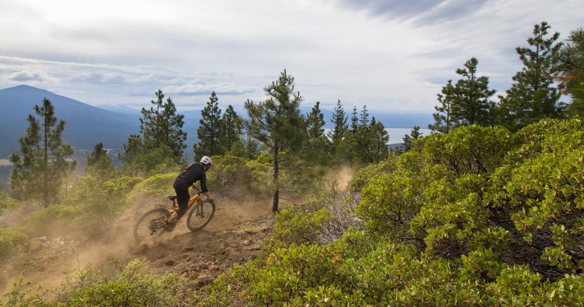 Klamath Trails Association organizará carreras de ciclismo de montaña a campo traviesa en Spence Mountain | al aire libre Klamath Trails Association organizará carreras de ciclismo de montaña a campo traviesa en Spence Mountain | al aire libre