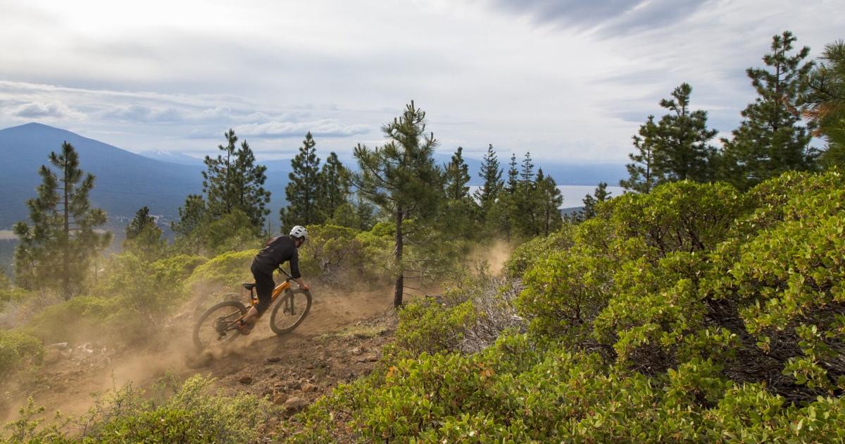 Klamath Trails Association organizará carreras de ciclismo de montaña a campo traviesa en Spence Mountain |  al aire libre
