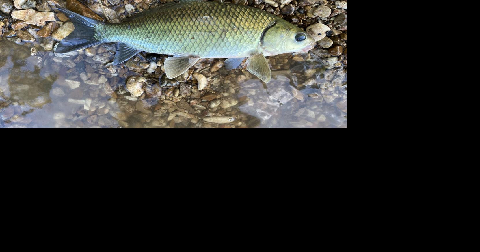 Caught Ovgard column: Sleeping on Oklahoma ... well, at least trying to