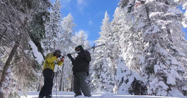 Oregon snowpack levels in good shape now, but spring variables still in play - Vimarsana News