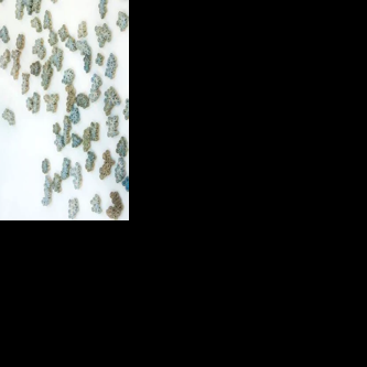 Klamath Community College launches first artist-in-residence program