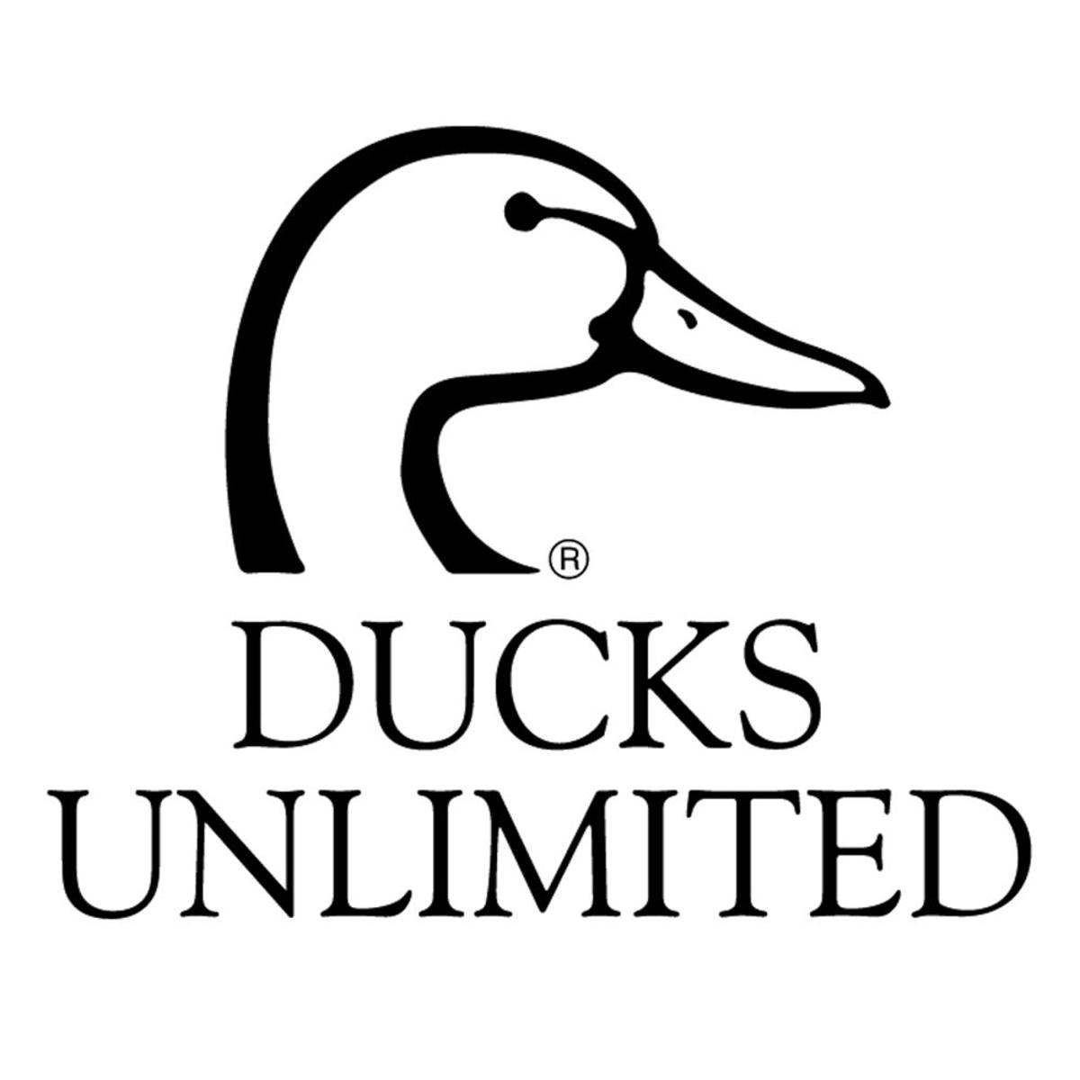 Ducks Unlimited raises $40,000 at banquet | News | heraldandnews.com