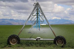 Some Oregon irrigators could get shut off as drought persists