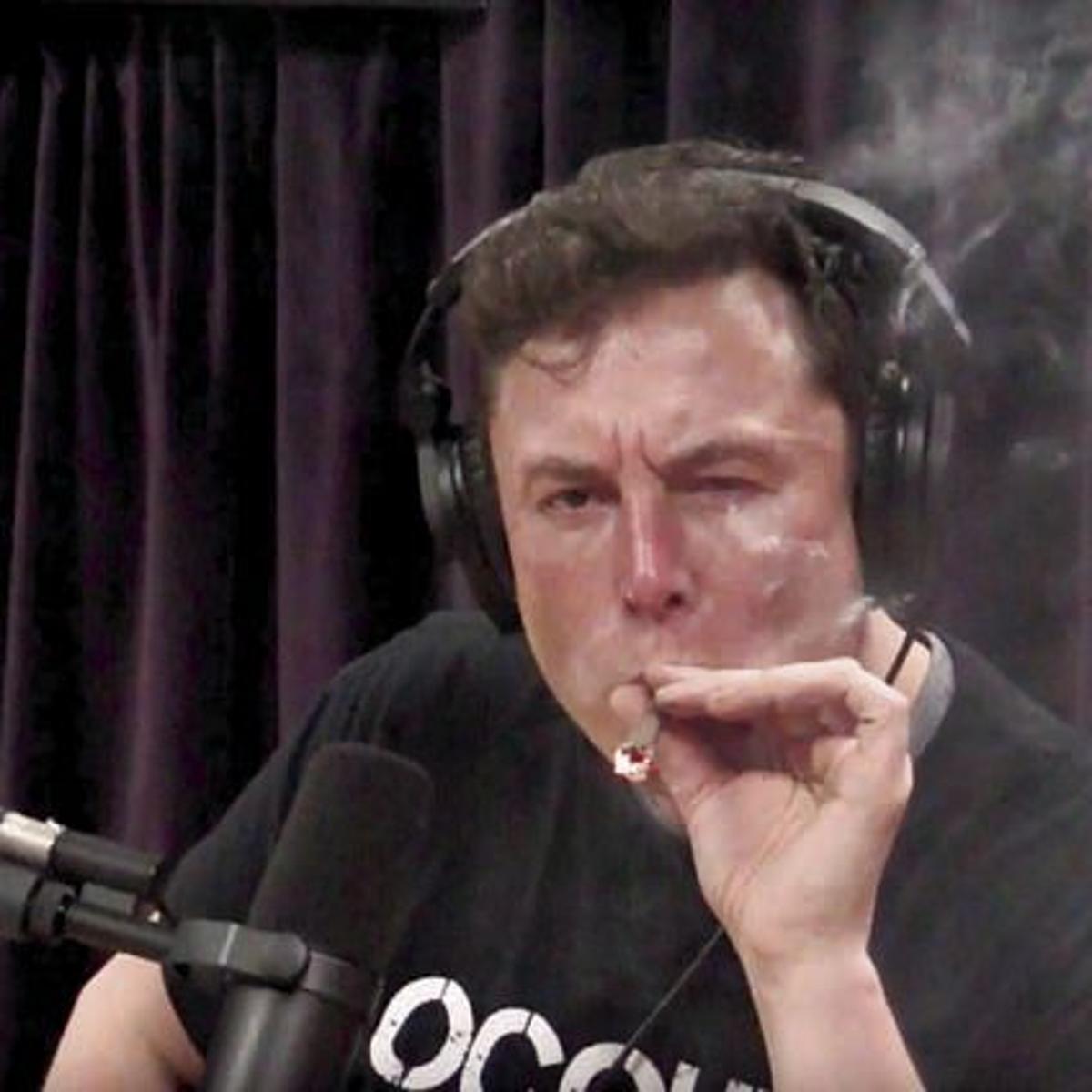 elon musk stop smoking cigarettes Tesla shares drop after smokes weed FDA Wants Nicotine in Cigarettes