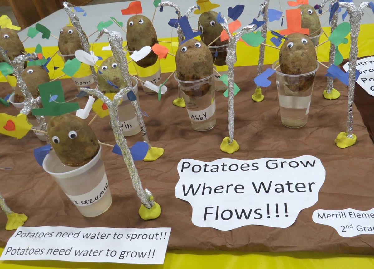 potatoes in water.jpg