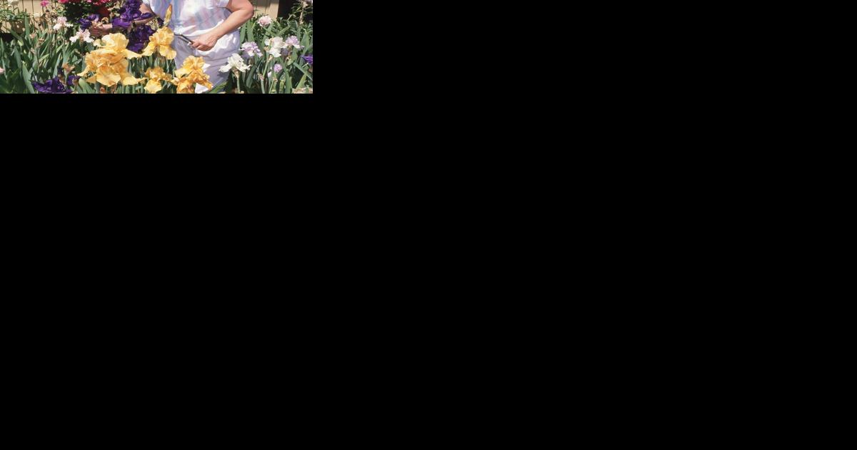 History of iris gardeners topic for talk - Vimarsana News