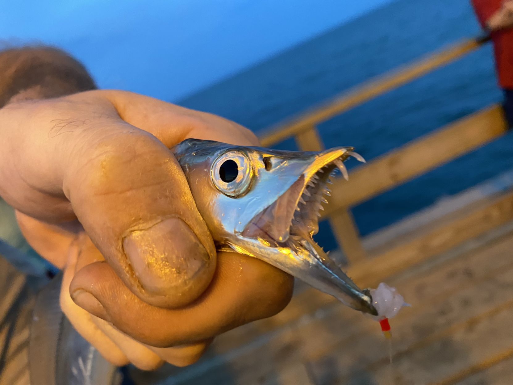 60ba8d86dafe1.image.jpg?crop=