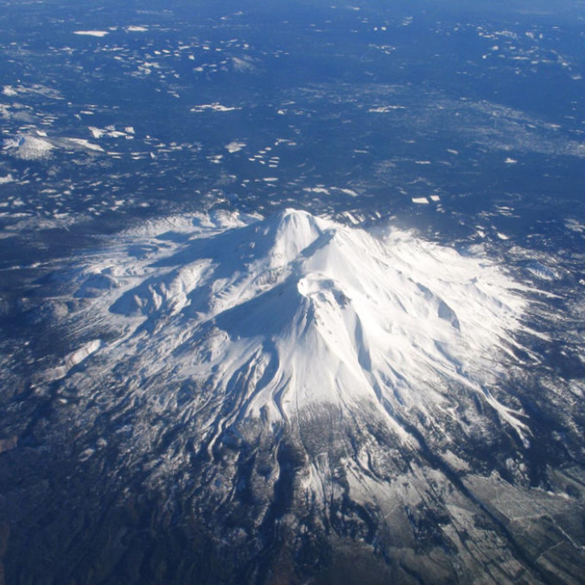 Shasta Shasta