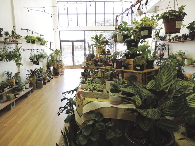 Growing business in Klamath Falls Local News