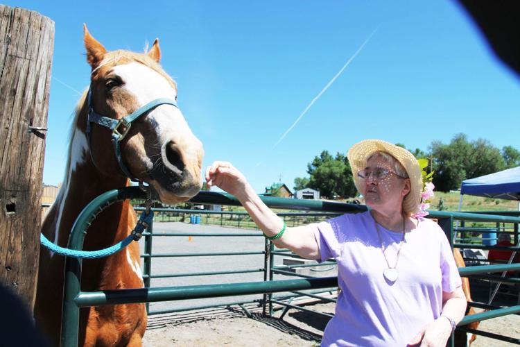 Horsing around at Solid Ground | Local News | heraldandnews.com