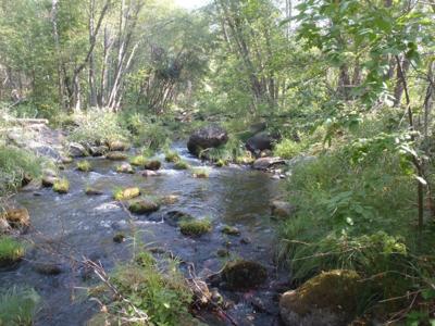 Jenny Creek along the Klamath River