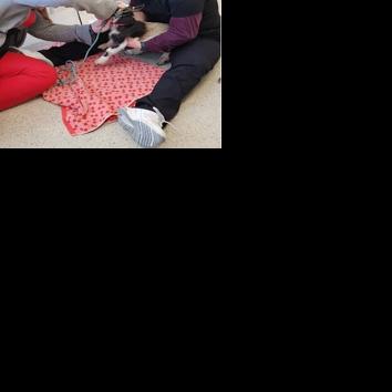Oregon Tech students learn wildlife rehabilitation skills in new biology course