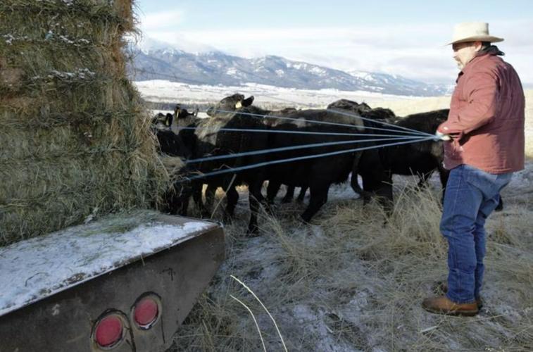 Oregon creates a new inspection program to boost state ag economy, keep