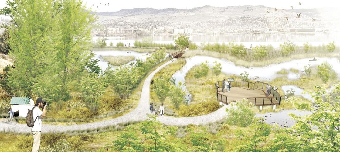 Wetlands of Lake Ewauna