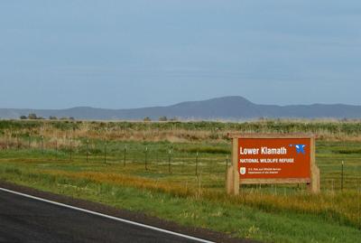 Klamath Basin Restoration 1