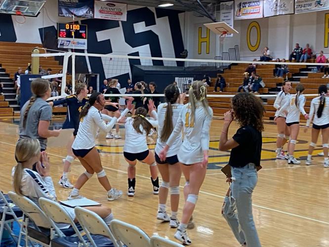 Henley volleyball players celebrate