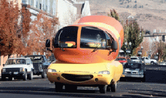 Fasten Your Meatbelt Feature Of The Day Heraldandnews Com