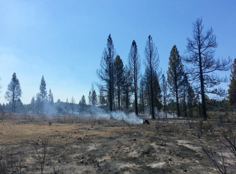 Six homes destroyed in wildfire north of Sprague River Breaking