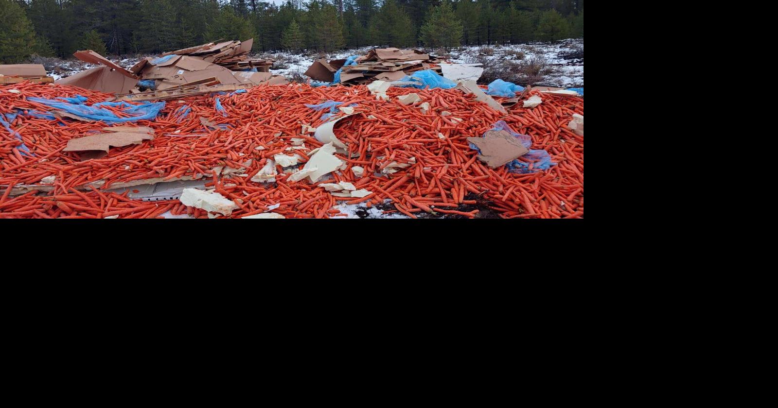Truck transporting trailer-load of carrots spills along U.S. Highway 97