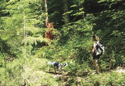 Leade hike photo